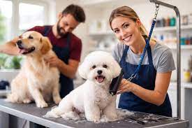 Missed Opportunities